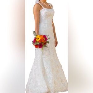 Wedding dress, David’s bridal very pretty